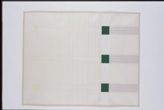 Susan Marie Dopp 3 Emerald, White Checks, 2005 gouache and graphite on mulberry paper 30.375 x 24.375 inches 77.1525 x 61.9125 cms