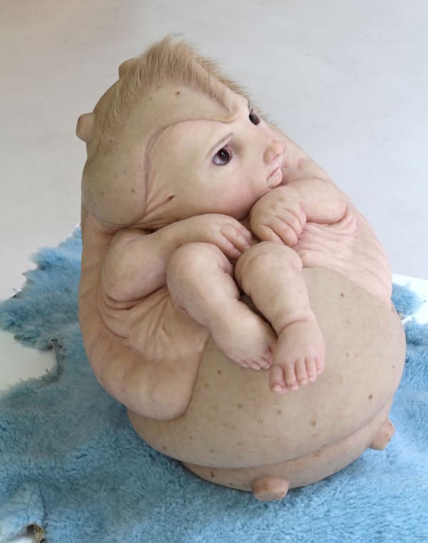Sculpture of small fetus-like creature with human skin, hair, hands and feet. Creature has rodent face and is encased in a rounded spiked shell. Creature sits on fuzzy blue carpet.