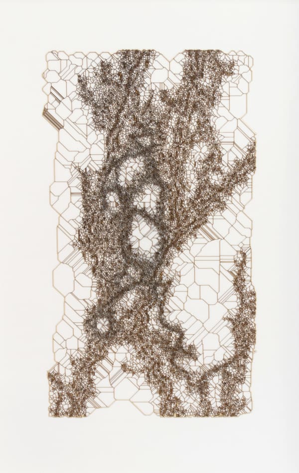 Gustavo Díaz from the series Variaciones sobre un bosque hipotetico previo a la Gran Bifurcacion. Modelo 006/ Era Prearbolitica, 2018 cut out paper and pencil 17 x 12 in 43.2 x 30.5 cm