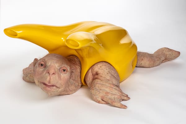 Sculpture of turtle with human-like scaly skin. Turtle’s shell is an artificial yellow plastic attachment that alludes to a vacuum contraption.