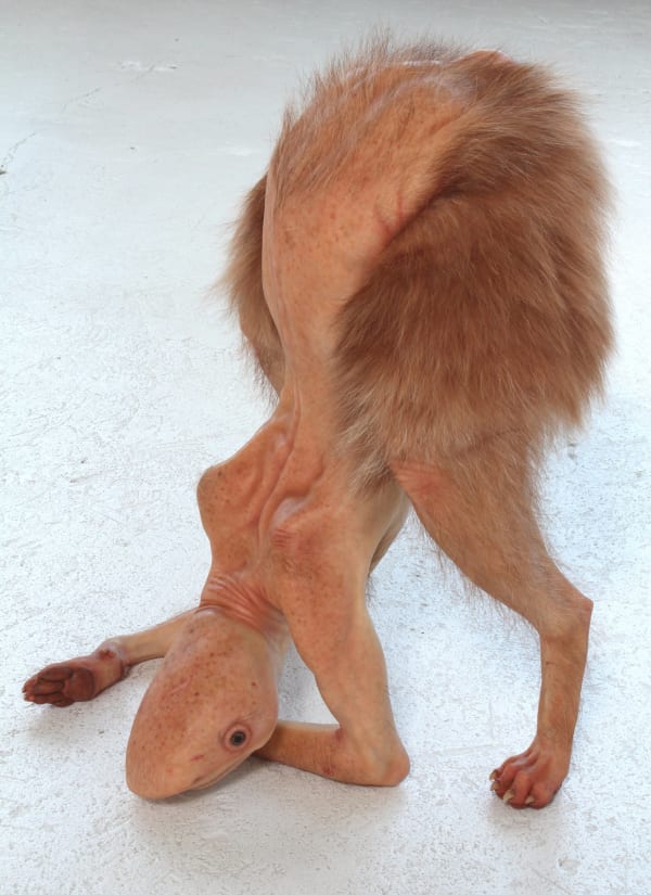 Sculpture of hybrid-creature with horse-like hind legs connected to human torso with reptilian head. Head and arms are resting on the ground which puts creature in a downward-dog position. Creature has human skin and brown fur. From behind, creature has several nipples (like a dog), a butthole that looks like a face, and a phallic-shaped tail.