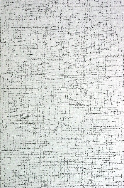 Dorothy Napangardi Mina Mina 10048DN, 2005 acrylic on belgium linen 48 x 78 inches 121.92 x 198.12 cms