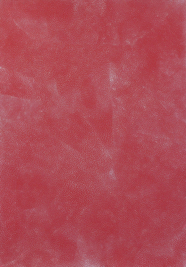 Tiny white dots and splotches of paint create an abstract cloudy pattern against a bright red canvas.