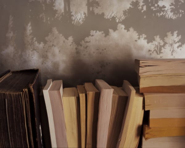 Chromogenic print of a digital photograph of a collection of old yellowed and browned books against an old green and gray wallpaper