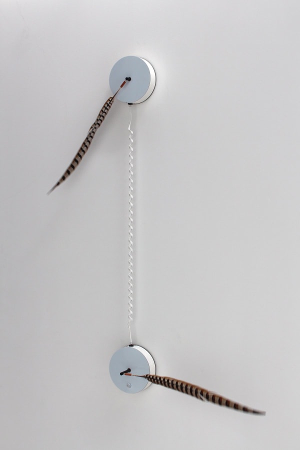 Alan Rath, Roto II, 2013