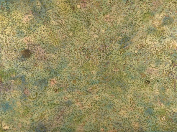 Superimposed over cloudy gold and green background is dense web of vines with leaves and flowers. Interwoven with vines are small recognizable symbols and motifs from daily life as well as small written words.
