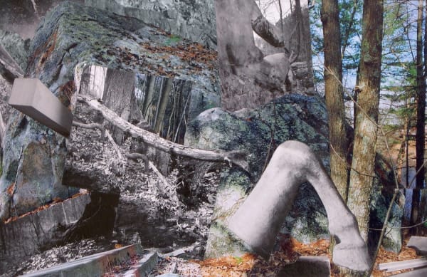Collage of forest scenes including trees and rocks. A black and white horse’s hoof and leg is floating in front of the background near the bottom right of the composition.
