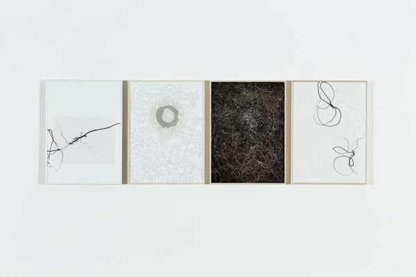 Four mixed media panels aligned horizontally which each contain winding trails either in black motor oil or dark thread Three of the panels also contain yellows or purples while the other is presented in grayscale