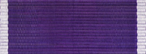 Heavily layered and textured vibrant purple and white oil paint on linen creates a zoomed in portrait of the woven fabrics of the purple ribbon component of the Purple Heart military medal