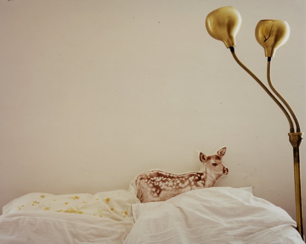 Chromogenic print of a digital photograph of a small white bed with a realistic deer pillow on top of it. To the upper right of the a golden lamp stand with two heads is visible