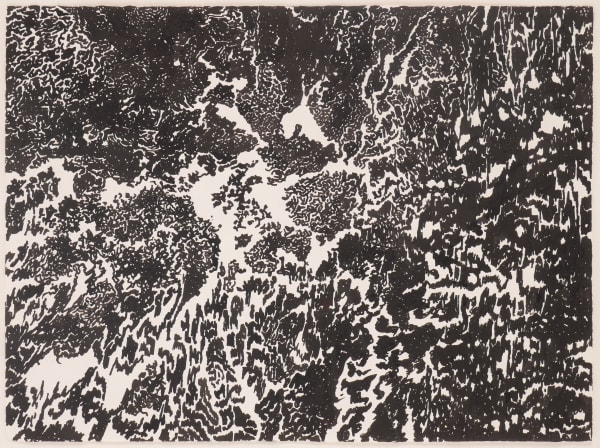 Abstract black and white drawing, suggesting fibrous network