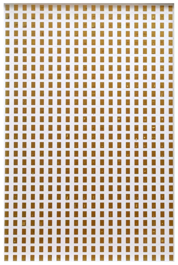 Marco Maggi, Gold is the New White, 2017