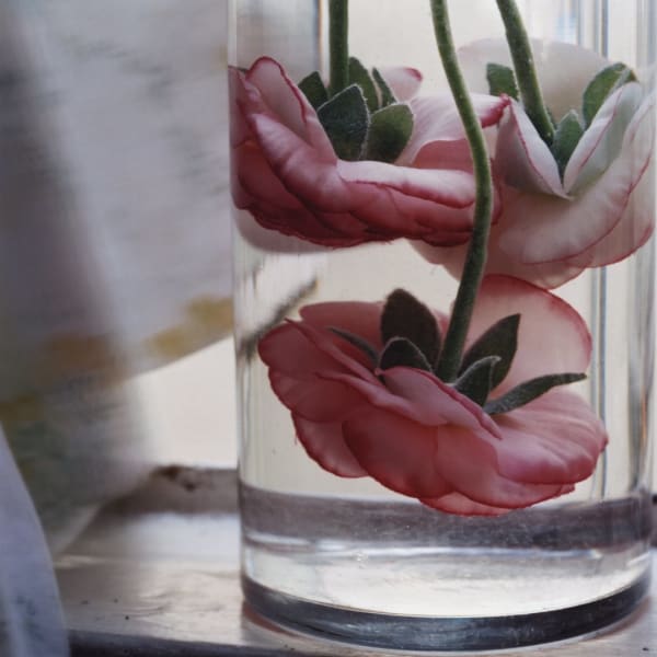 Chromogenic print of a digital photograph of a bouquet of three pale pink roses turned upside down and drowning in a glass vase full of water. The vase is on a wooden window sill which is blurred out