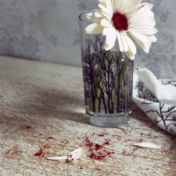 Digital c-print of a photograph of a small white flower in a graphic glass on a light brown wooden table. On the surface of the table below the flower are several white petals and red dustings from the center of the flower
