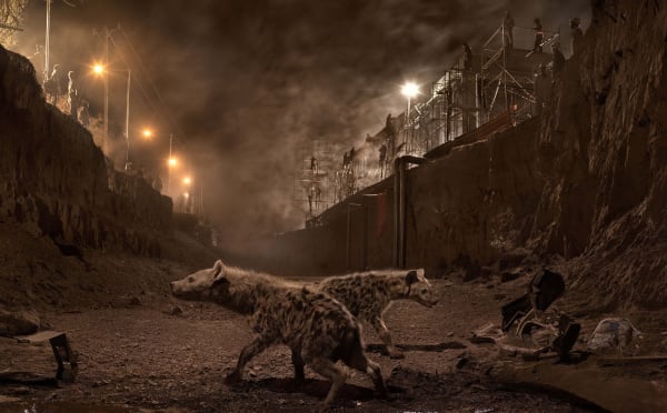 Nick Brandt River Bed With Hyenas, 2018