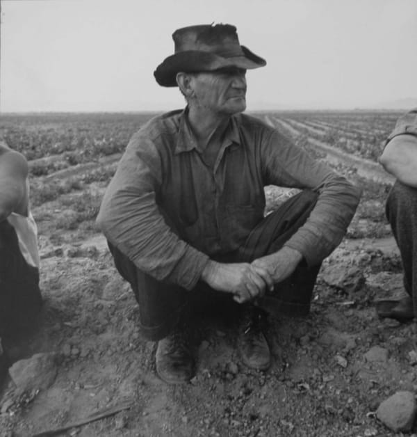 Dorothea Lange Jobless on the Edge of Peafield, Imperial Valley, CA, 1937
