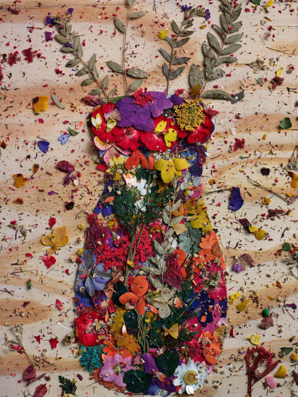 Abelardo Morell Flowers for Lisa #14 flowers petals against plywood arranged like a vase