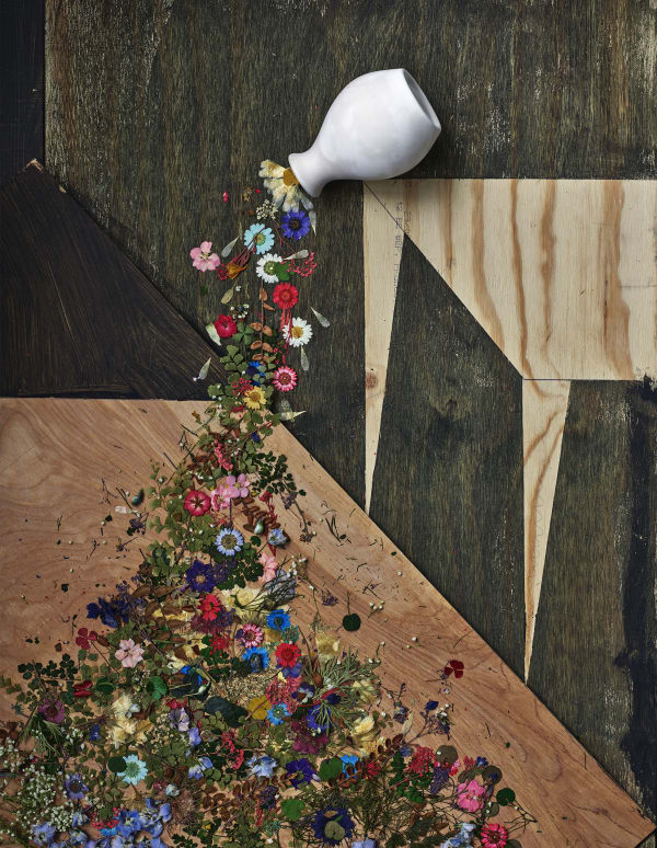 Abelardo Morell: Flowers for Lisa