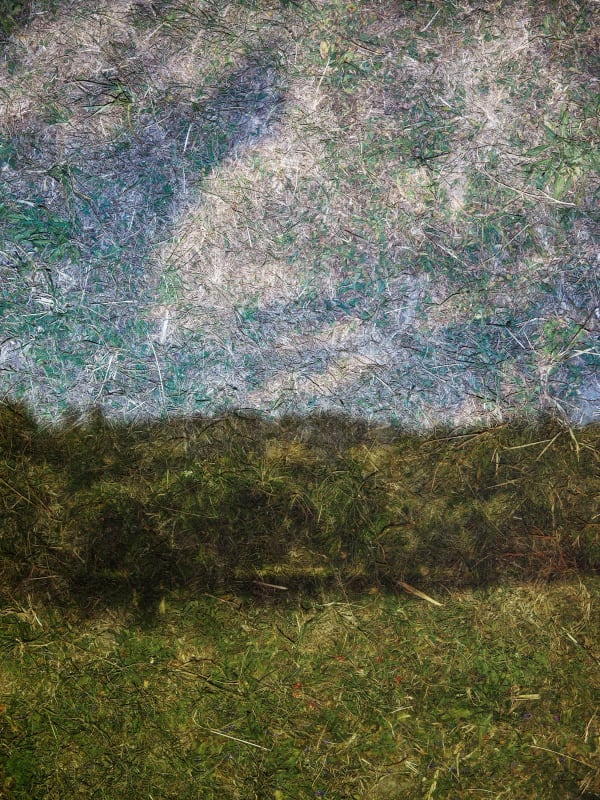 Abelardo Morell Tent-Camera Image on Ground: Field and Clouds, Giverny, France, 2023