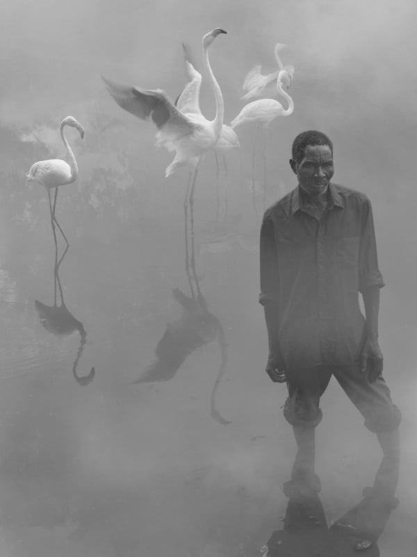 Patrick standing in water with flamingos flapping wings behind him in fog, Zimbabwe, from the Day May Break series by Nick Brandt