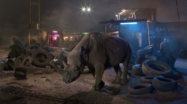 Nick Brandt Garage With Blind Rhino, 2018