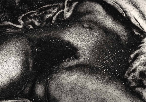 Vik Muniz Origin of the World, After Courbet, 1999