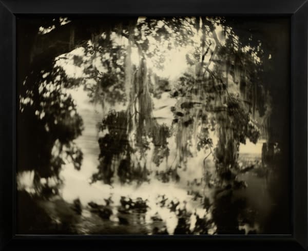 Deep South, Untitled (Avery Moss)