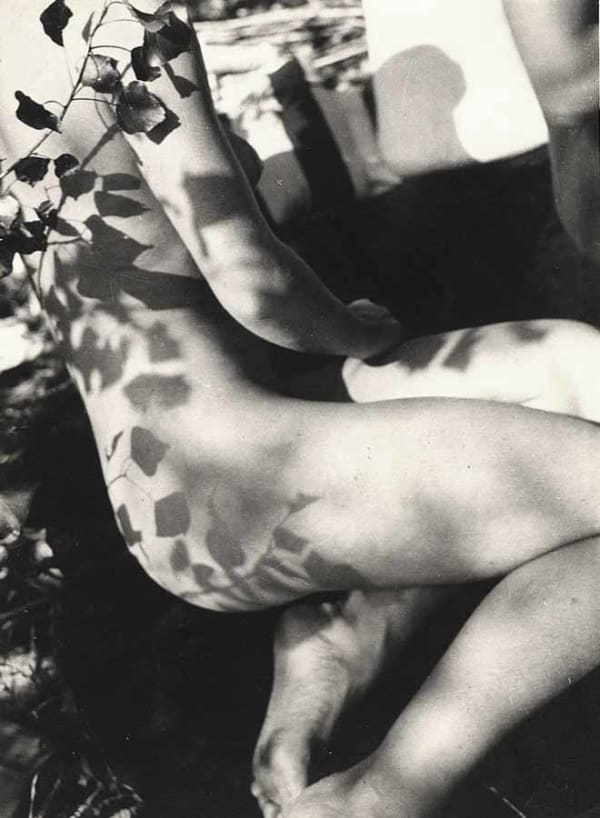 light skinned nude woman with shadows of leafy vines on her body