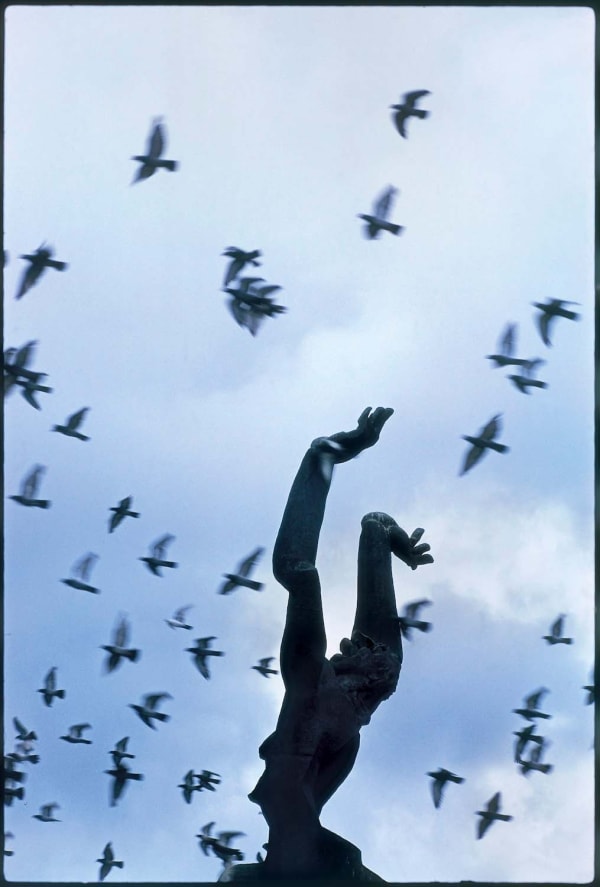 Elliott Erwitt Rotterdam, Netherlands, 1968