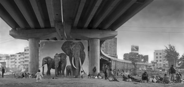Nick Brandt, Underpass with Elephants (Lean Back, Your Life is On Track), 2015