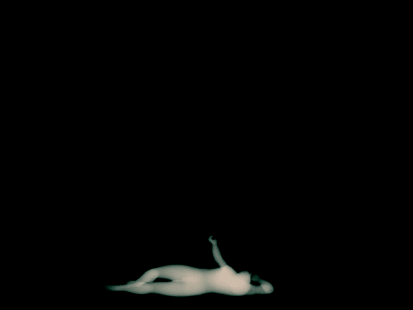 x-ray of reclining statue, by David Maisel