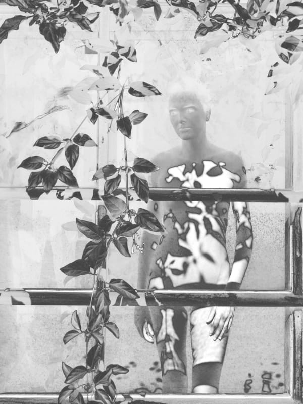 Mona Kuhn Interleaving, 2022