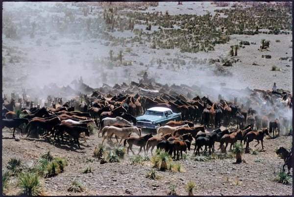Elliott Erwitt Texas, USA, 1956