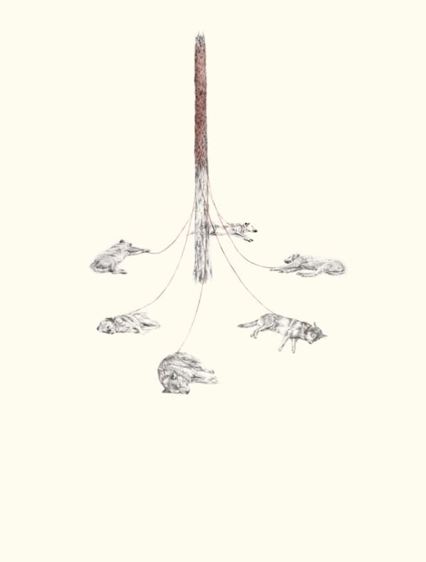 Rachel Goodyear, Maypole, 2012