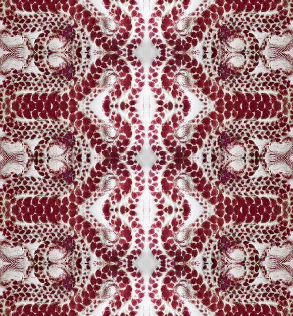 Kedisha Coakley, Negritude No.1 , 2017-2020