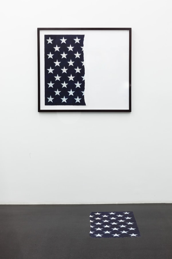 Hans Haacke, Mission Accomplished, 2005