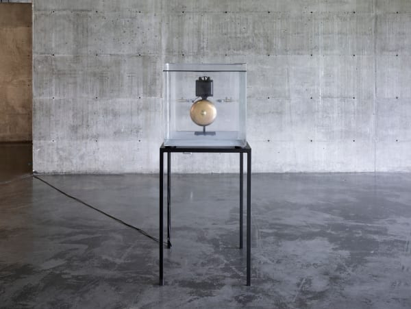 Zarouhie Abdalian, As a demonstration, 2013