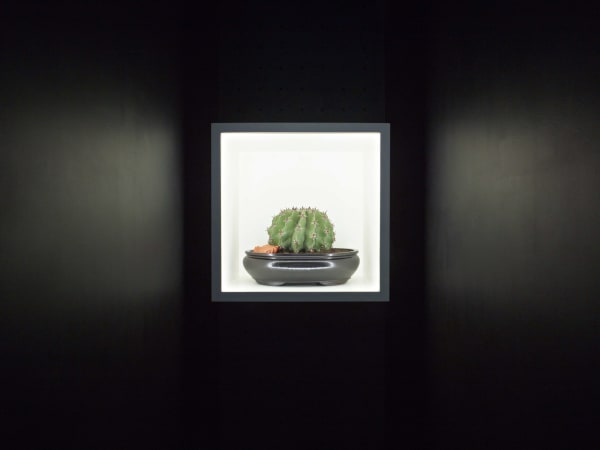 Ai Weiwei, A Living Sculpture, 2012