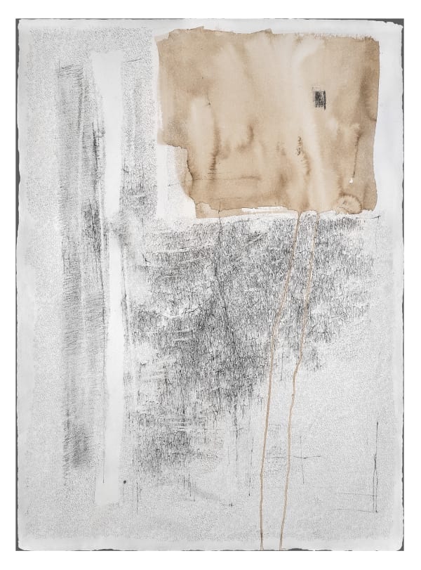 Catalina Chervin Untitled III (Series of Blots), 2018 Charcoal, pencil and walnut ink on Khadi Papers - handmade paper 30 x 24 in 76 x 57 cm