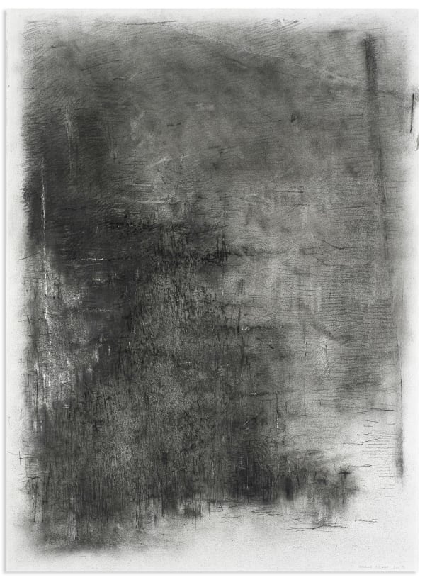 Catalina Chervin Untitled III (Darkness Series), 2011-12 Charcoal, pencil and Rotring on Lanaquarelle paper 30 x 22 in 76 x 56 cm