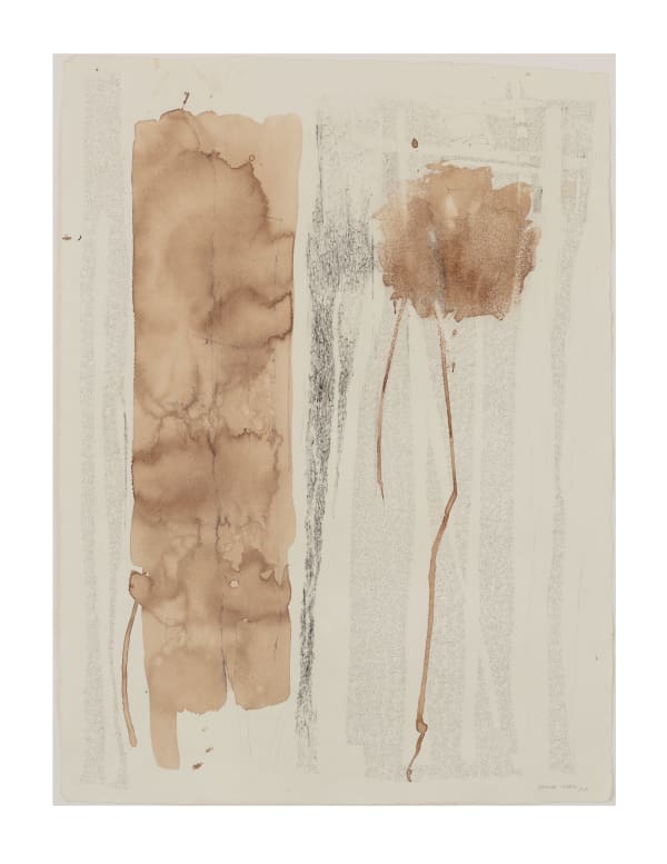 Catalina Chervin Untitled V (Series of Blots), 2018 Charcoal, pencil and walnut ink on Khadi Papers - handmade paper 30 x 24 in 76.2 x 61 cm