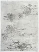 Catalina Chervin Song 5, 2010 Hard and soft ground etching with dry point, printed on Rives De Lin with Kozo chine collé Master Printer: Lothar Osterburg, New York, 2010 Image size: 15 x 11 in (38.1 x 27.9 cm) Paper size: 21 x 16 in (53.3 x 40.6 cm) Artist proof edition of 3