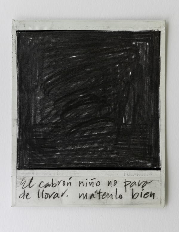 Priscilla Monge Los malos paisajes (El cabrón niño no para...), 2021 Polaroid with applied graphite 4 x 3 1/2 in 10.2 x 8.9 cm
