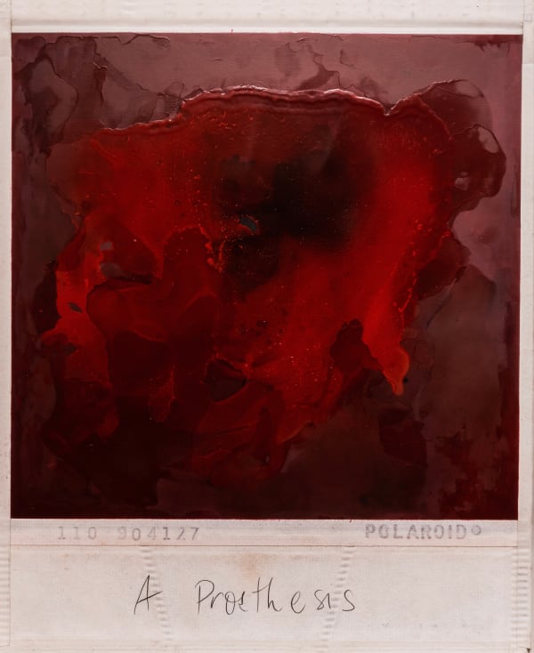 Priscilla Monge The Archived Body Series: A Prosthesis, 2022/23 Digital print on 100% cotton archival paper and oil paint 33 7/8 x 28 in 86 x 71 cm