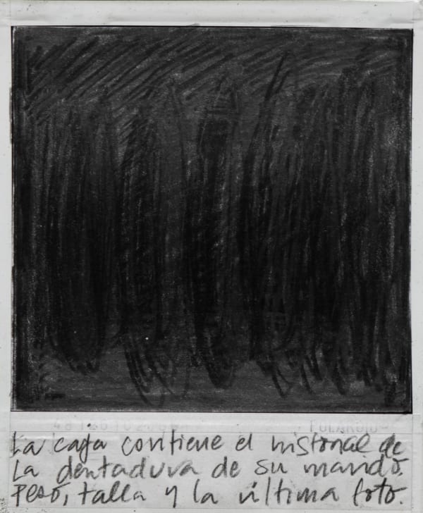Los malos paisajes (La caja contiene ...), 2021