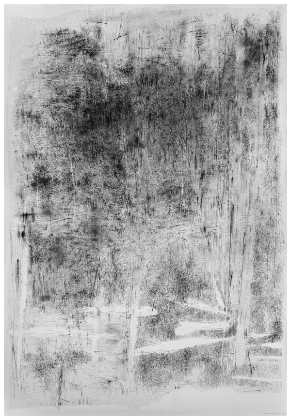 Written Landscapes IV, 2015-19