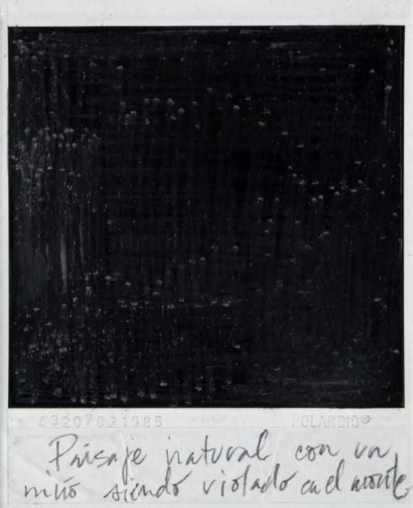Priscilla Monge Los malos paisajes (Paisaje natural...), 2021 Polaroid with applied graphite 4 x 3 1/2 in 10.2 x 8.9 cm