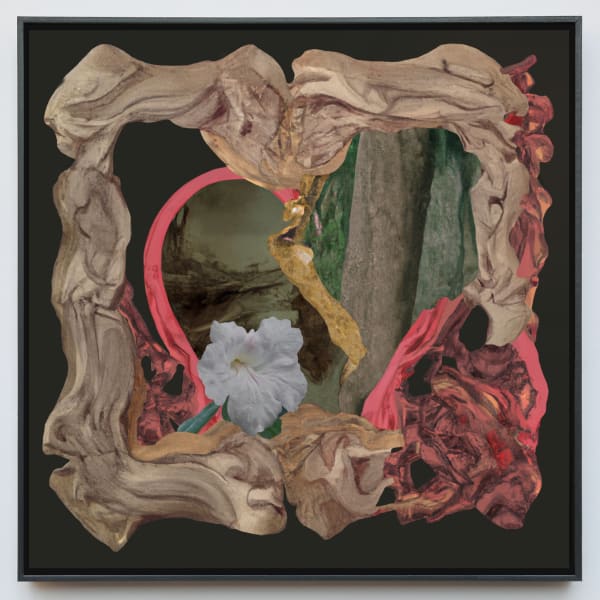 Debora Hirsch PLANT (Tabebuia lepidota), 2024 Cibachrome print 13 x 13 in 33 x 33 cm