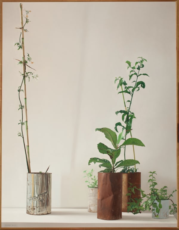 Plants, 1972