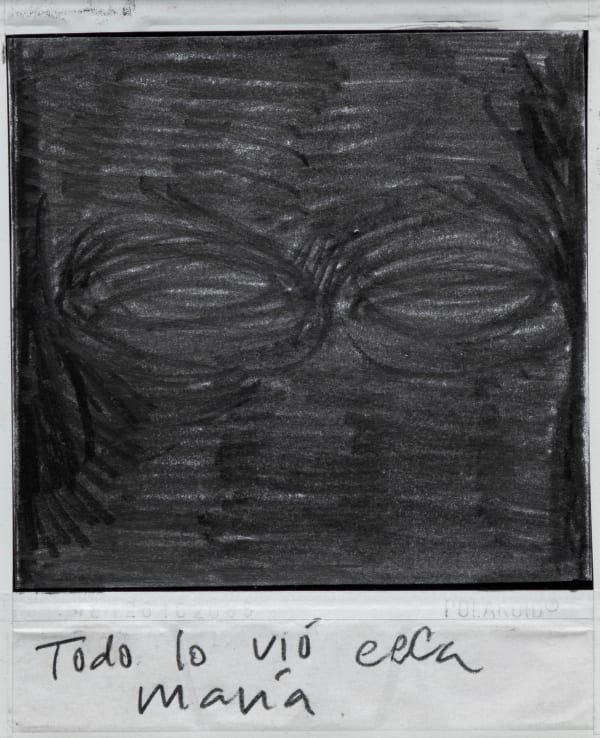 Priscilla Monge Los malos paisajes (Todo lo vio....), 2021 Polaroid with applied graphite 4 x 3 1/2 in 10.2 x 8.9 cm